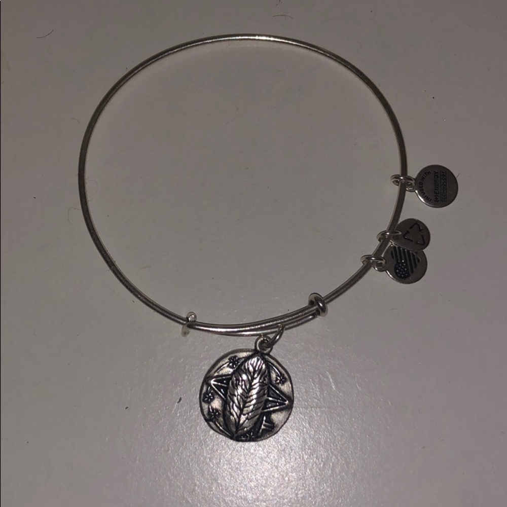 Alex and Ani charm bracelet